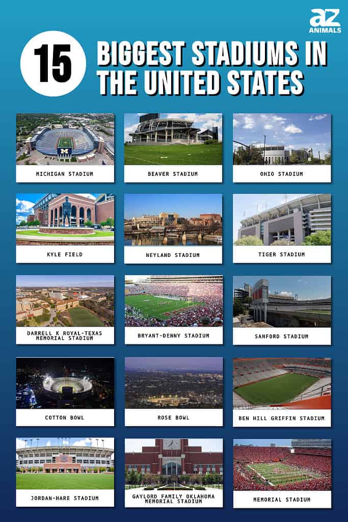 Infographic for the 15 Biggest Stadiums in the US