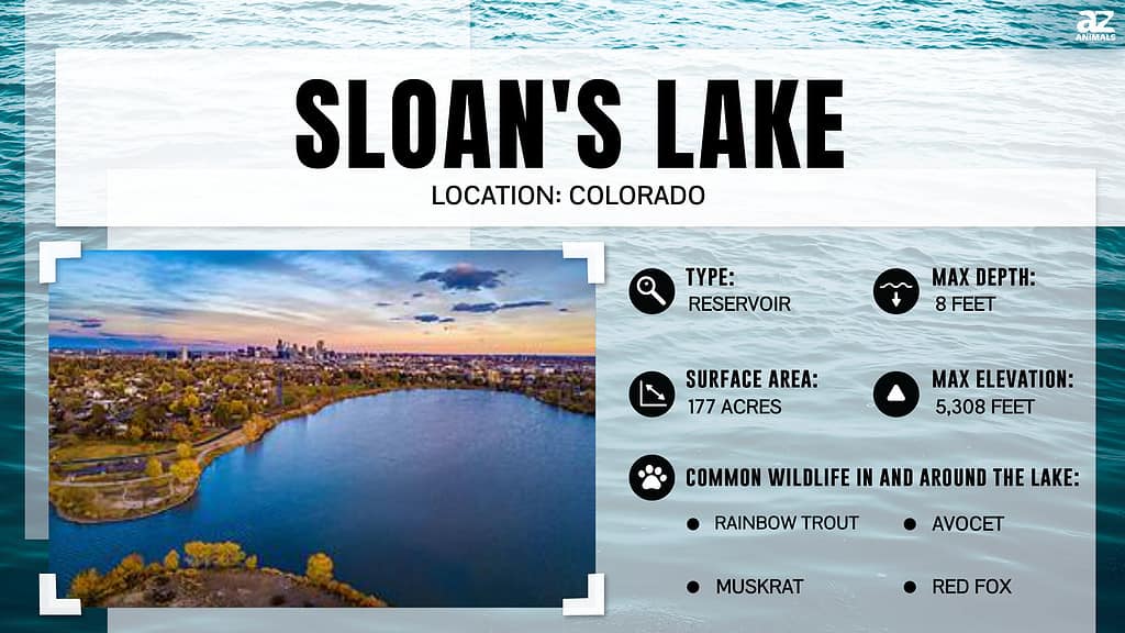 Lake Infographic for Sloan's Lake in Denver, Colorado.