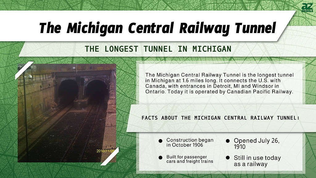 Infographic of the Michigan Central Railway Tunnel