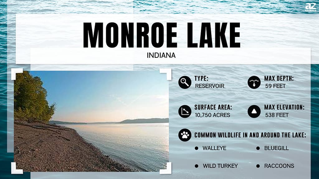 Lake infographic for Monroe Lake, Indiana's oldest artificial lake