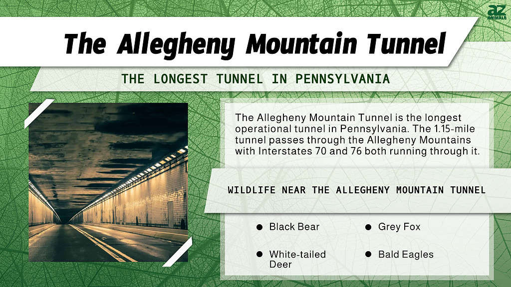The Allegheny Mountain Tunnel is the Longest Tunnel in Pennsylvania