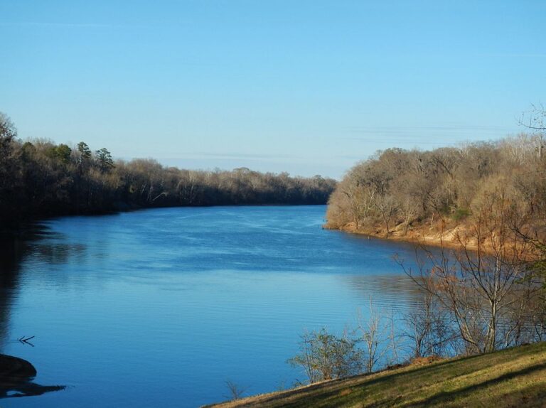 The Alabama River at Benton Park