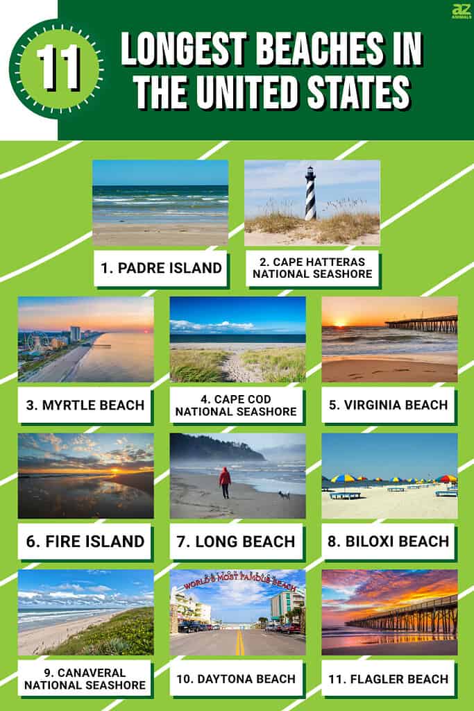 Discover the 11 Longest Beaches in the United States - A-Z Animals