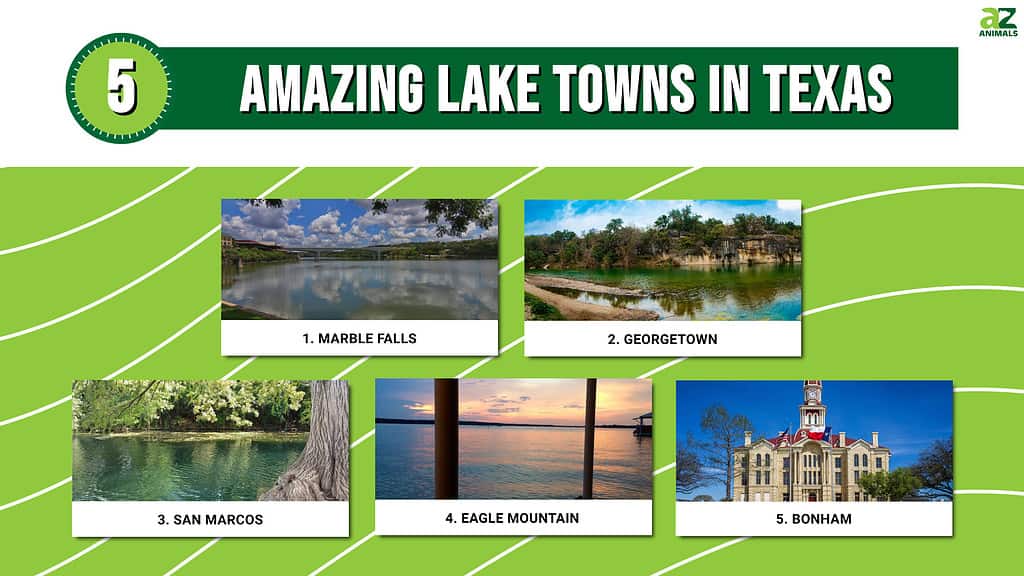 5 Amazing Lake Towns in Texas