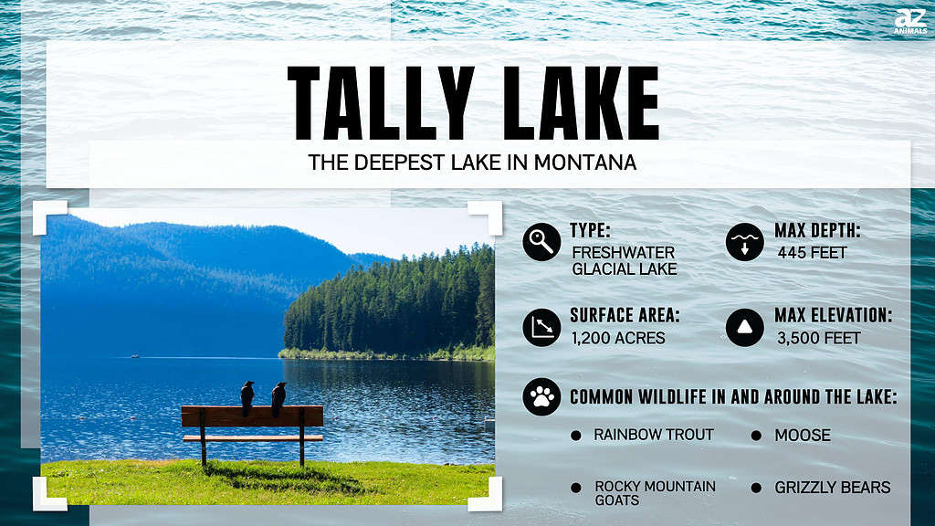 Tally Lake is the Deepest Lake in Montana