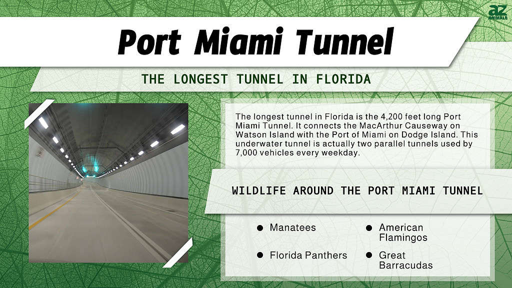 Port Miami Tunnel is the Longest Tunnel in Florida