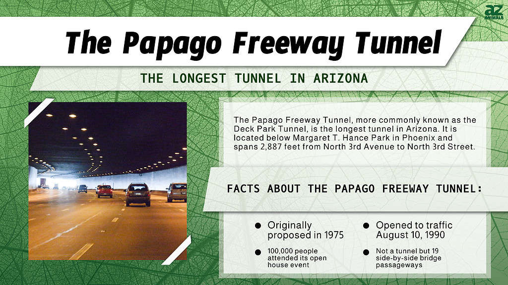 Infographic of the Papago Freeway Tunnel