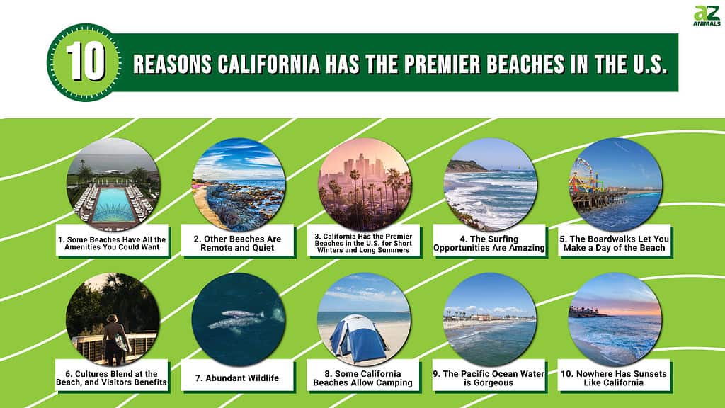 10 Reasons California Has the Premiere Beaches