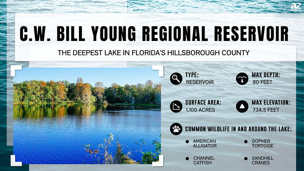 C.W. Bill Young Regional Reservoir is the Deepest Lake in Hillsborough County, Florida