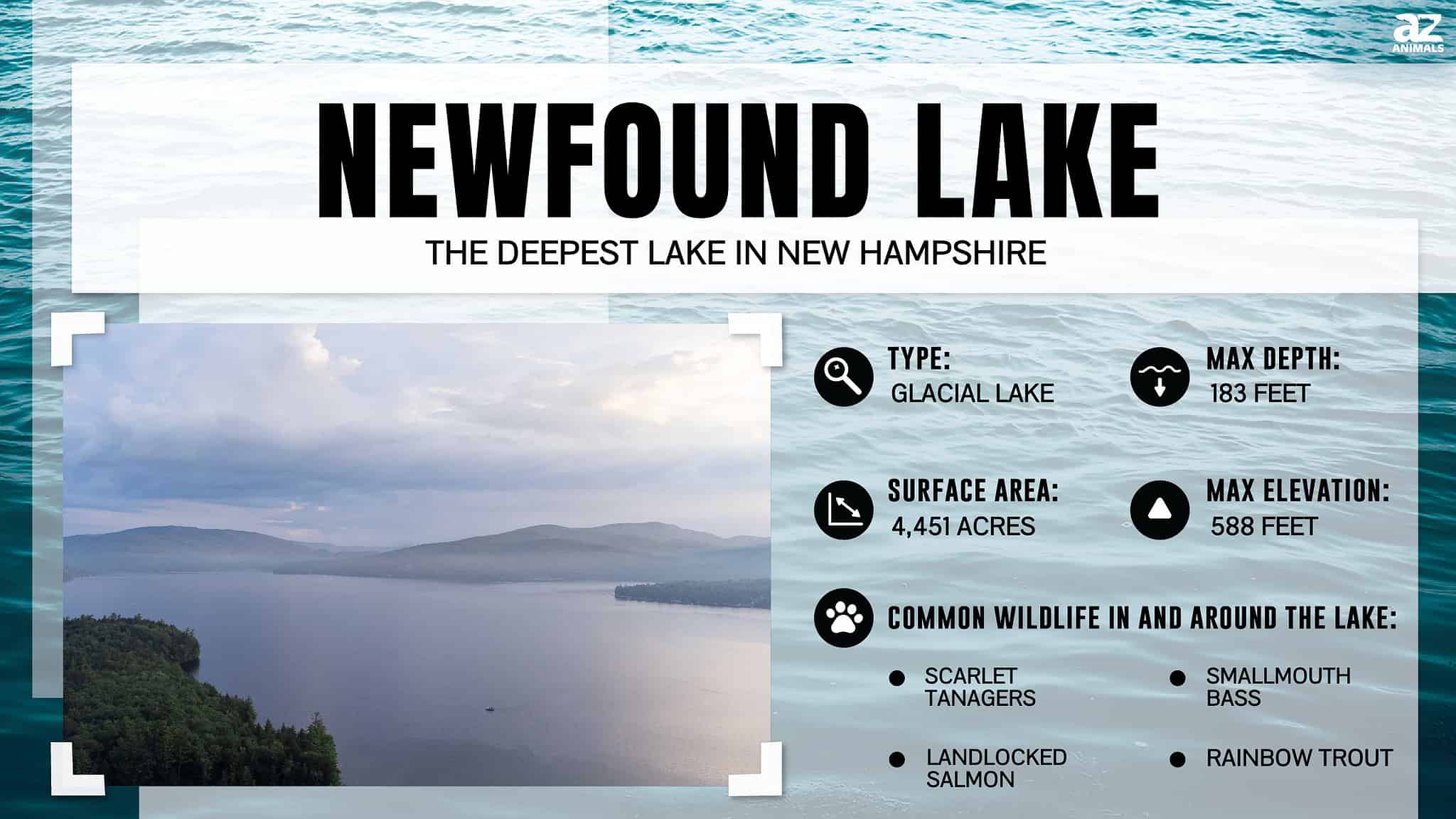 Discover The Deepest Lake In New Hampshire AZ Animals