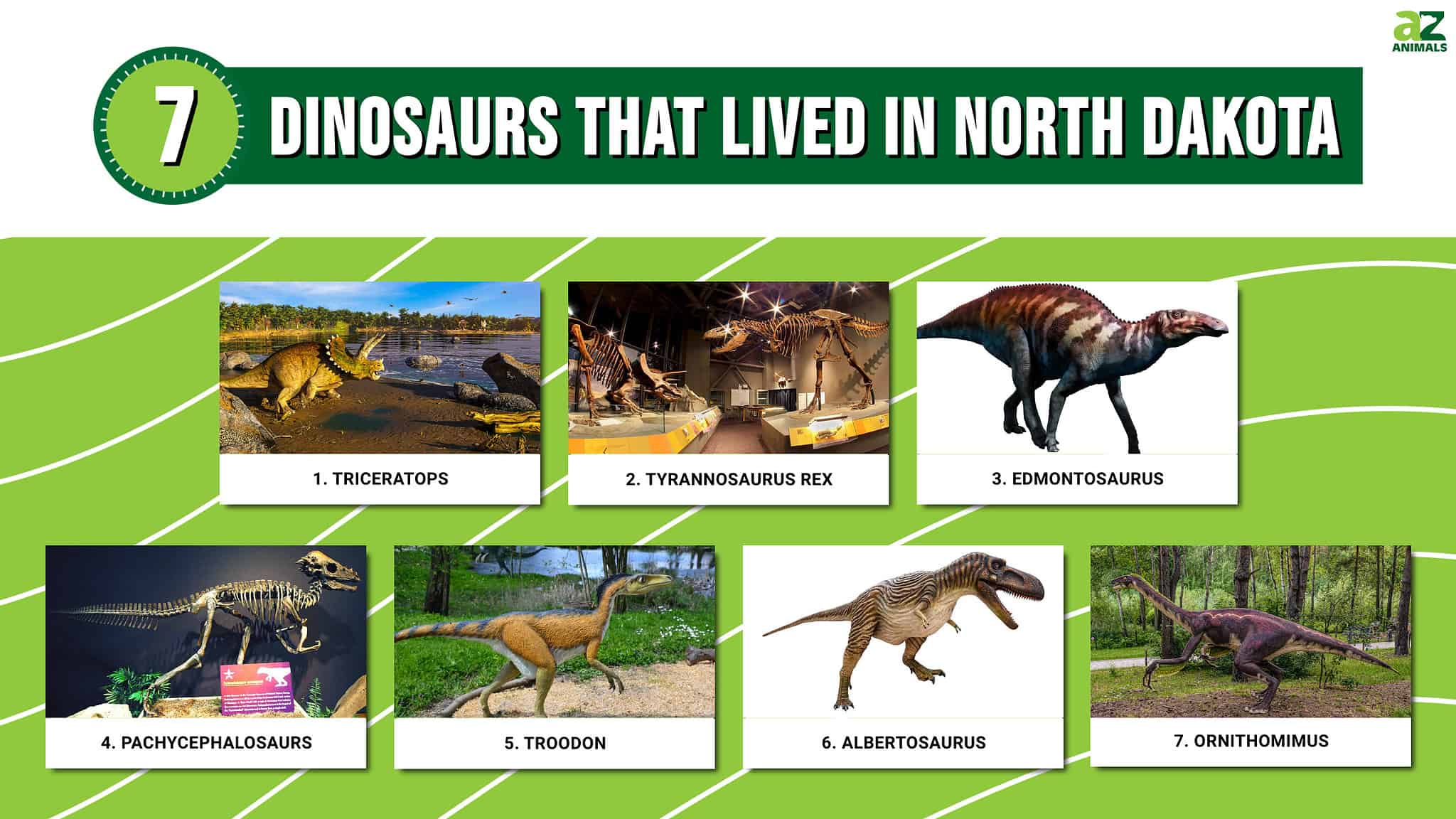 7 Dinosaurs that Lived in North Dakota (And Where to See Fossils Today ...