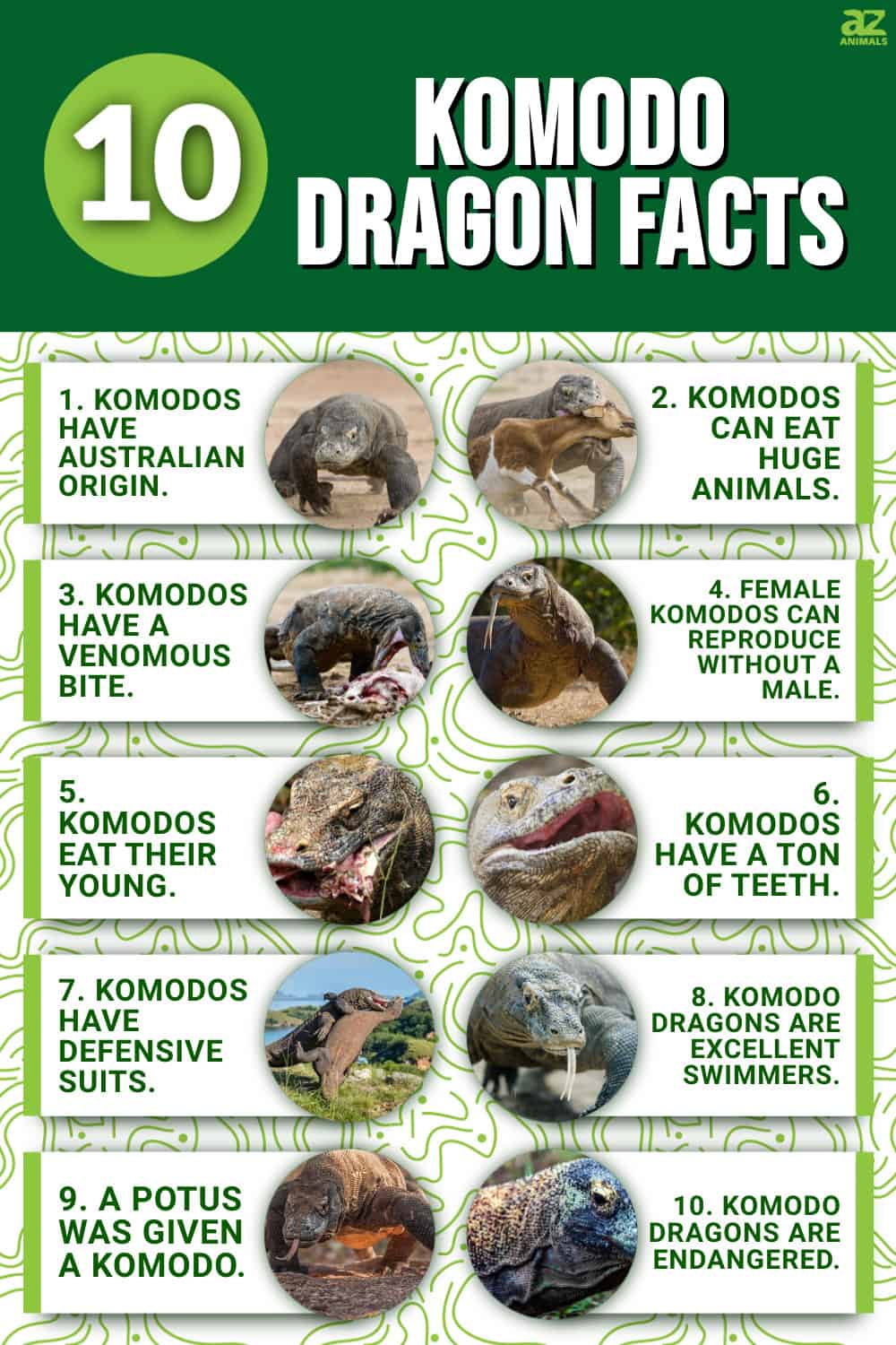 10 Incredible Komodo Dragon Facts - A-Z Animals