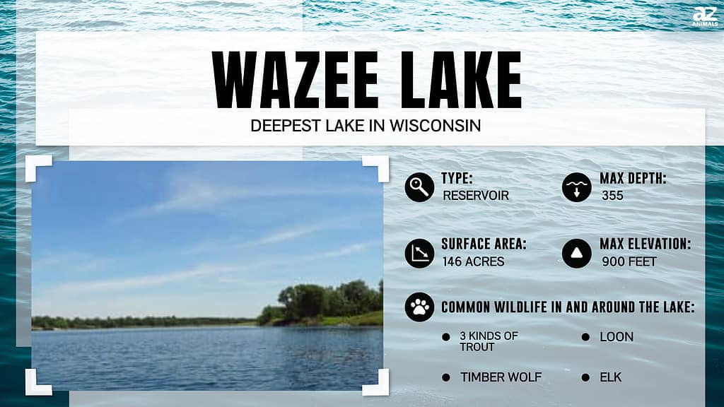 Infographic for Wazee Lake, Wisconsin