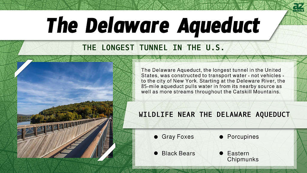 The Delaware Aqueduct  is the Longest Tunnel in the U.S.