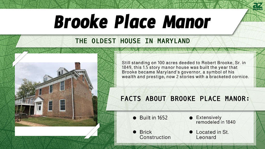 "Oldest House" infographic for Brooke Place Manor in St. Leonard, Maryland.