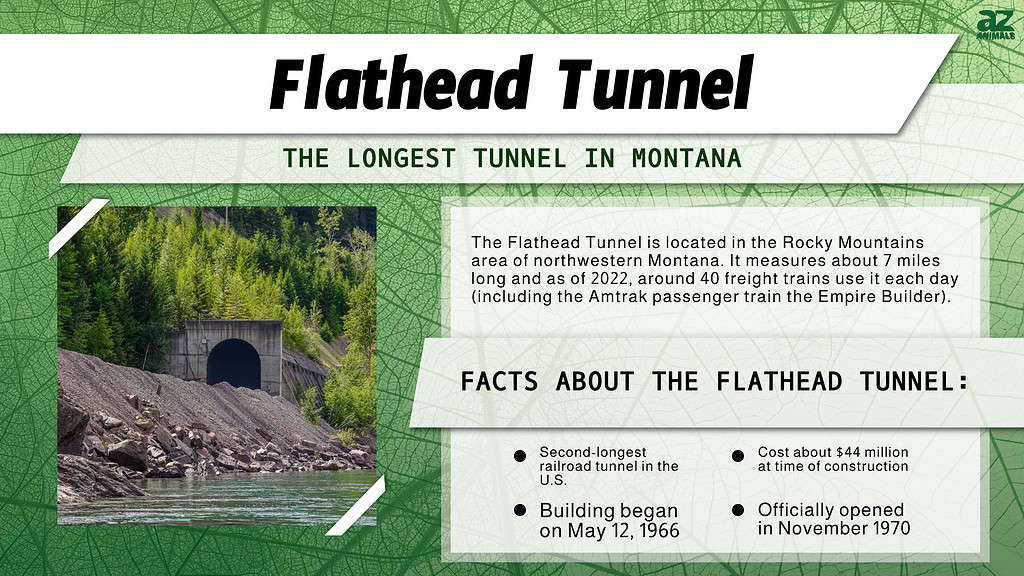 Infographic of Flathead Tunnel