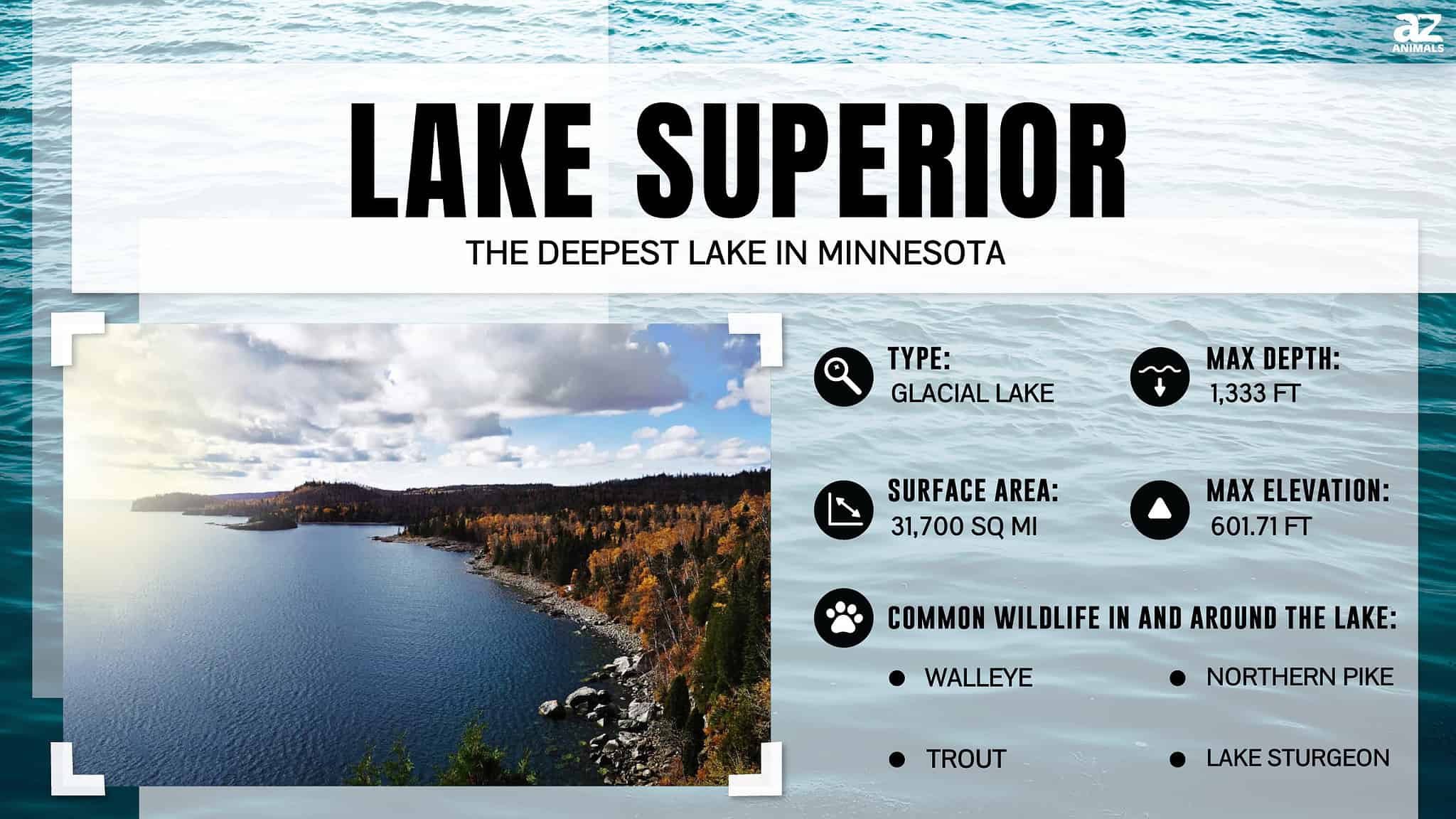 Discover the Deepest Lake in Minnesota - A-Z Animals