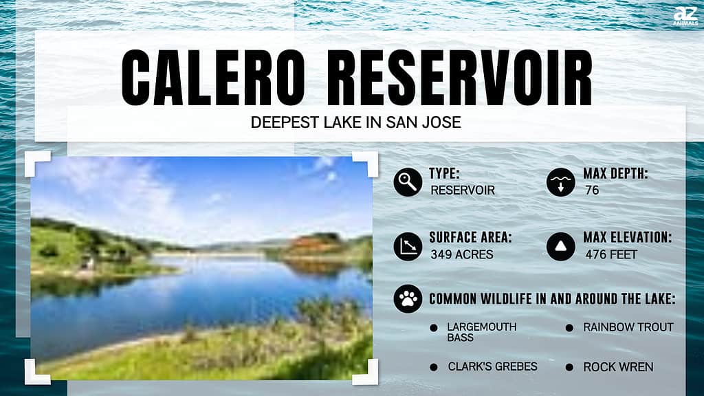 Infographic for Calero Reservoir, Calero County, San Jose, CA