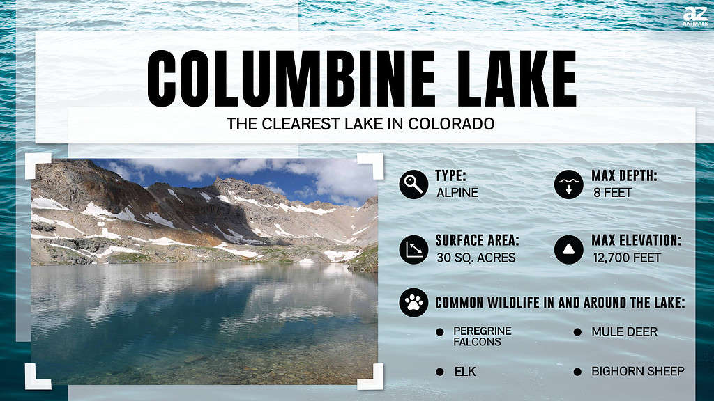 Infographic of Columbine Lake
