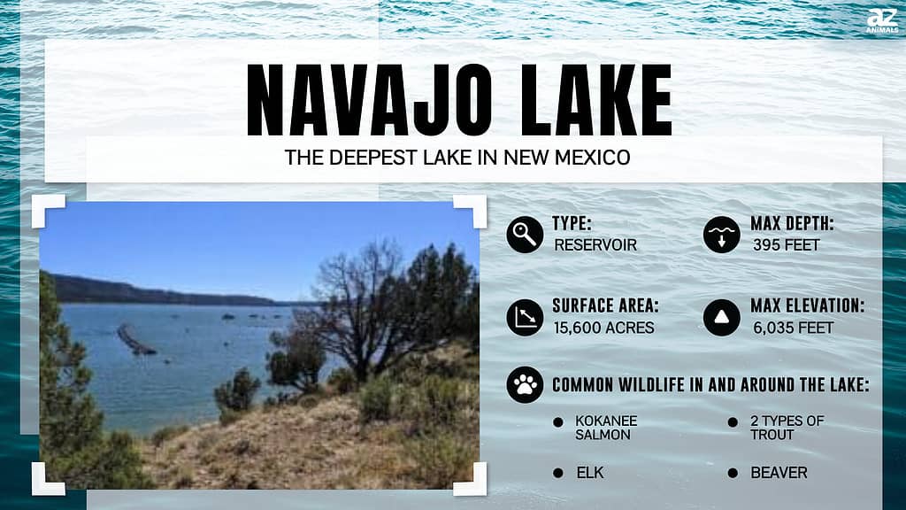 Infographic for Navajo Lake, NM