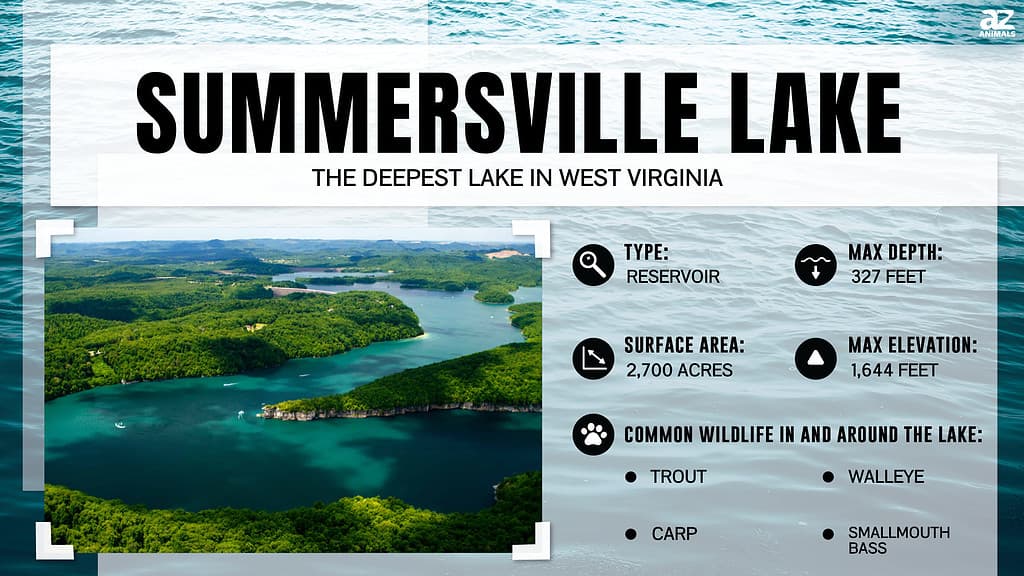 Summersville Lake is the deepest Lake in West Virginia