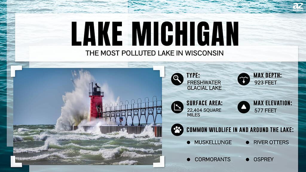 Lake Michigan is the Most Polluted Lake in Wisconsin