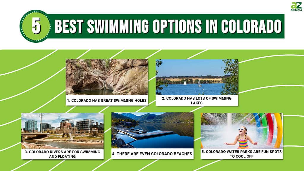 5 Best Swimming Options in Colorado