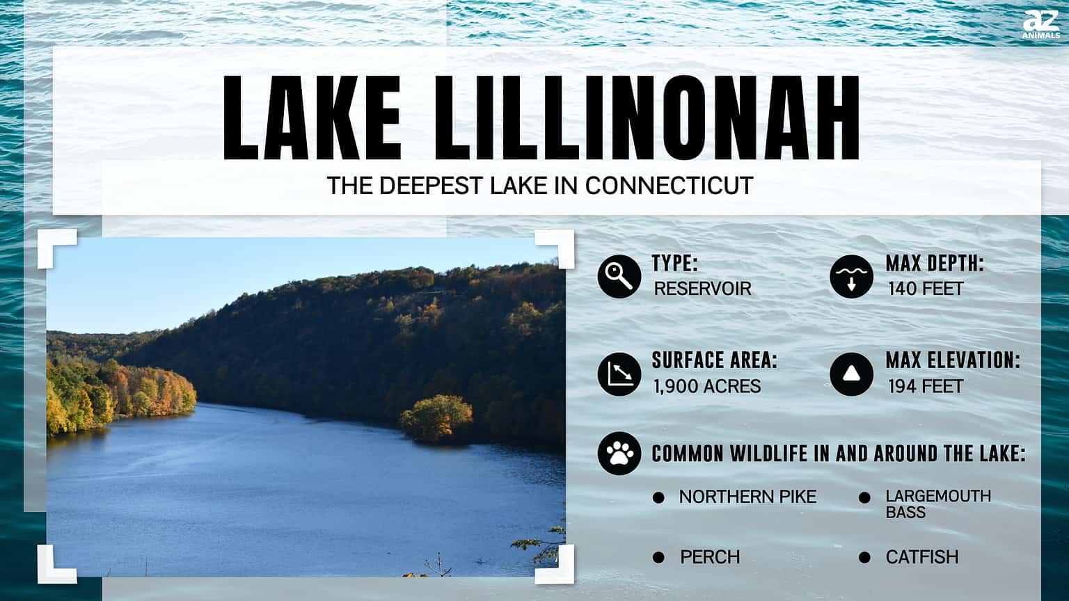 Discover the Deepest Lake in Connecticut - A-Z Animals