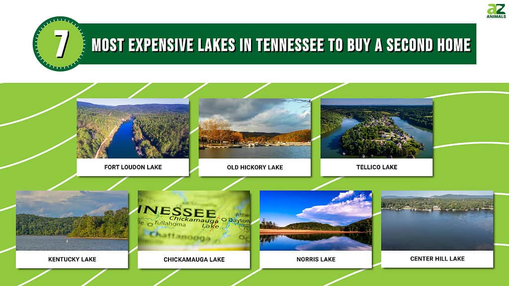 Infographic for the 7 Most Expensive Lakes in TN to Buy a 2nd Home.