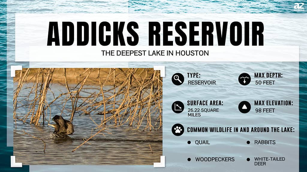 Addicks Reservoir is the Deepest Lake in Houston