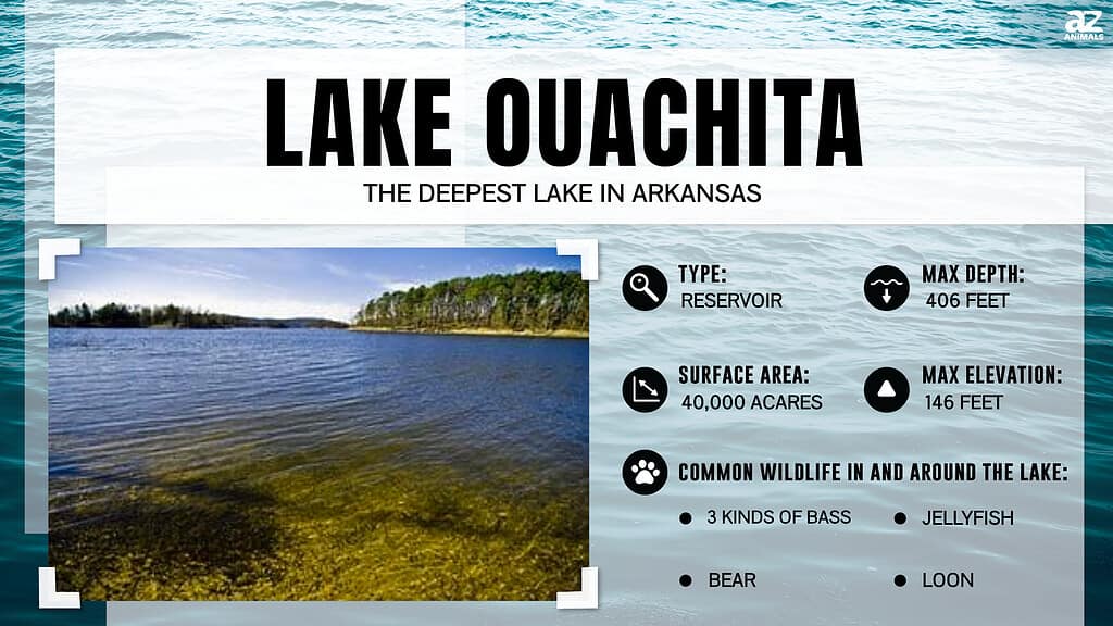 Infographic for Lake Ouachita as the deepest lake in Arkansas