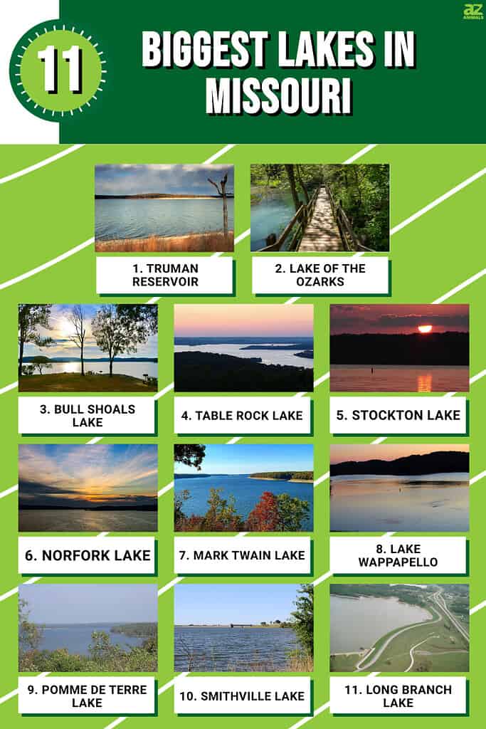 Infographic of 11 Biggest Lakes in Missouri