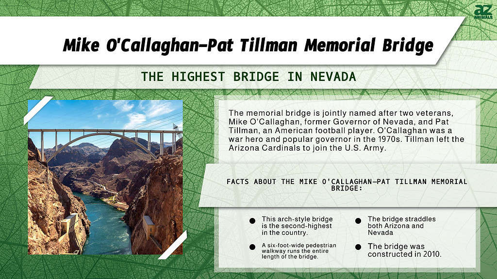 The Mike O'Callaghan - Pat Tillman Memorial Bridge overlooking