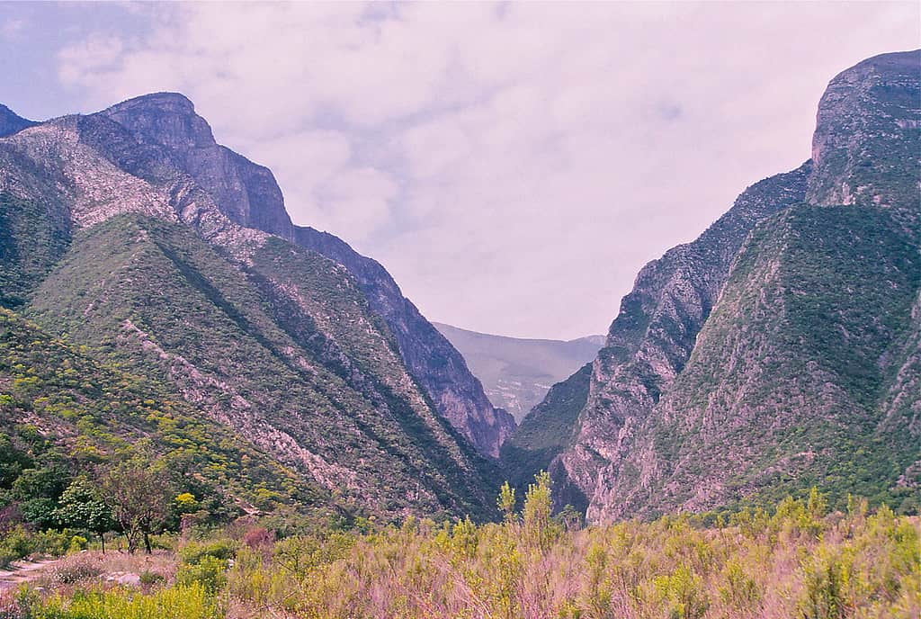 Canyon, Sierra Madre Oriental