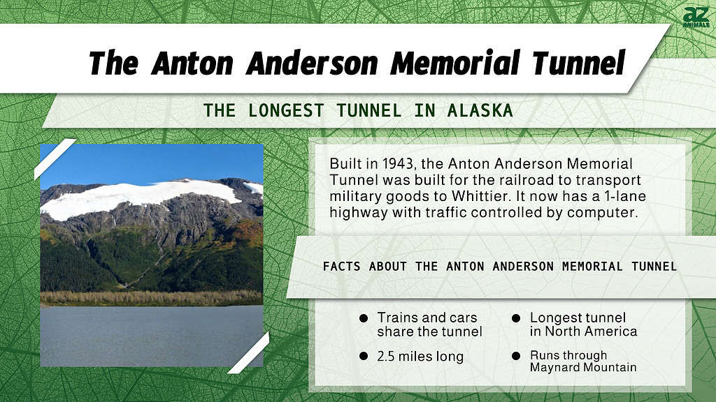 Longest Tunnel Infographic for the Anton Anderson Memorial Tunnel in Alaska.