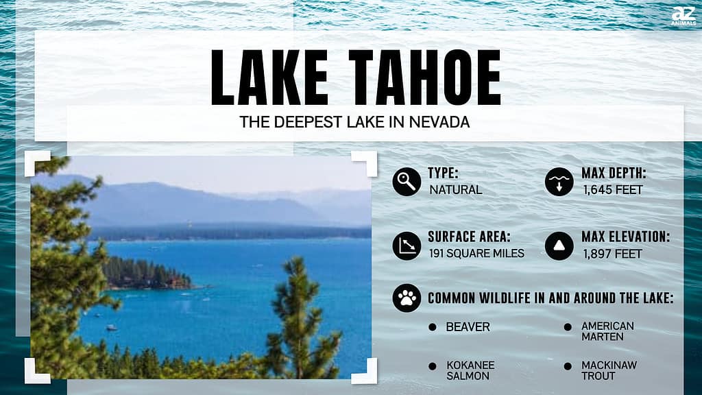 Infographic for Lake Tahoe, Nevada