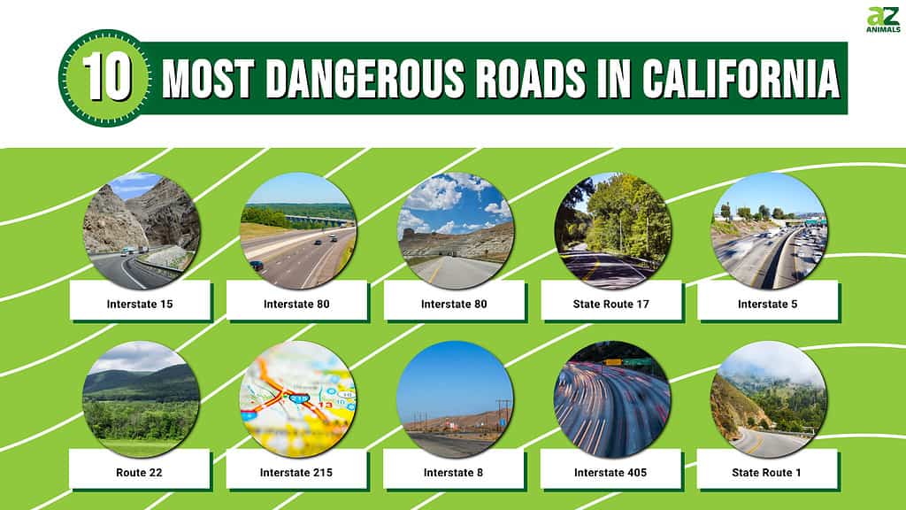 Infographic for the 10 Most Dangerous Roads in California