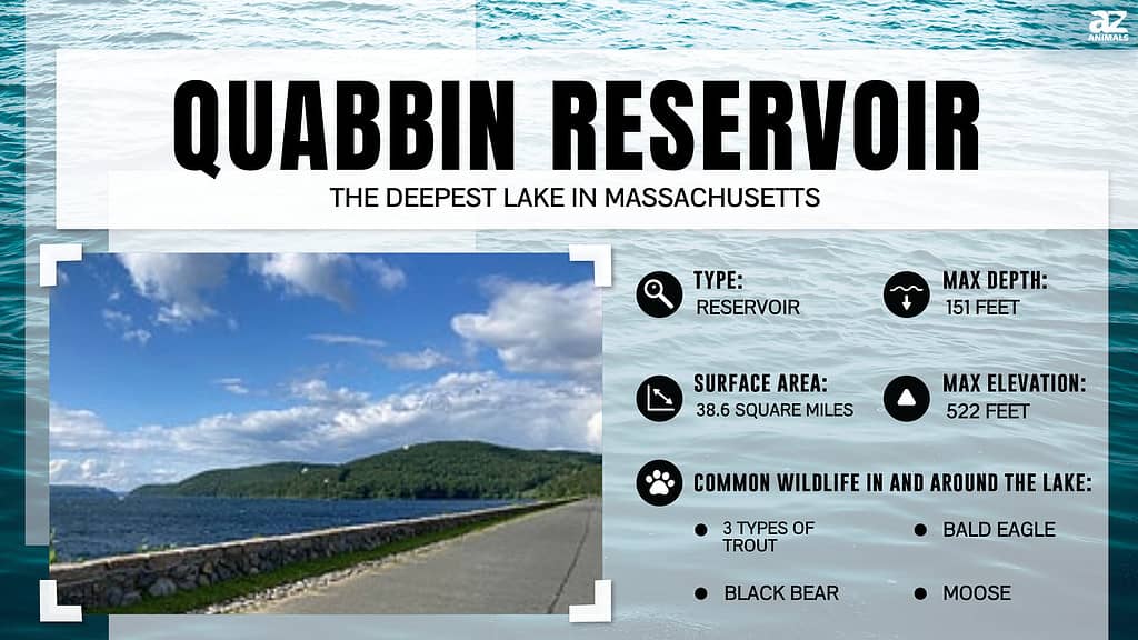 Infographic about Quabbin Reservoir, the deepest lake in MA
