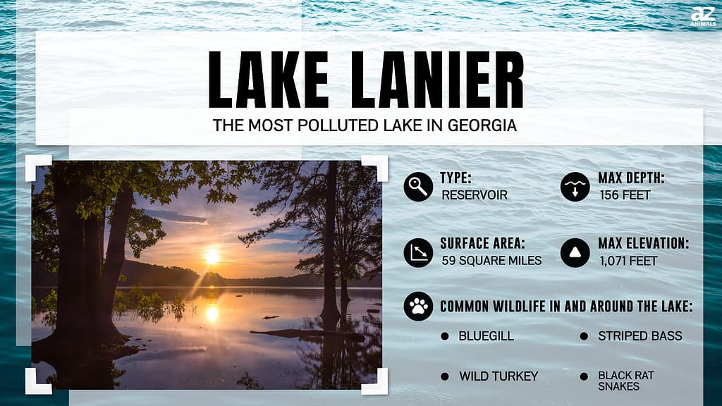 Lake Lanier is the Most Polluted Lake in Georgia
