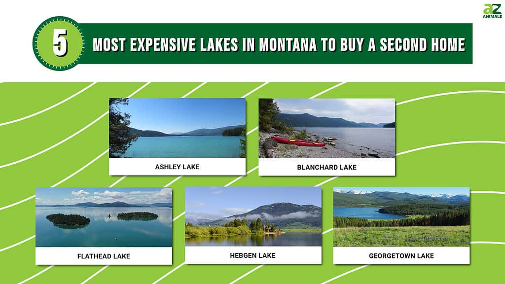 Infographic for the 5 Most Expensive Lakes in Montana to buy a Second Home.