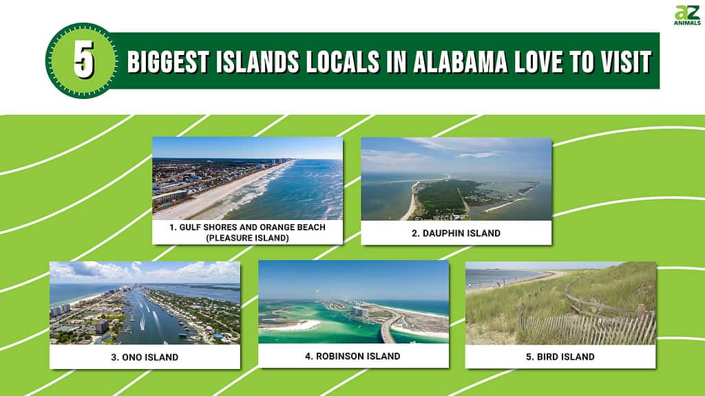 5 Biggest Islands Locals in Alabama Love to Visit