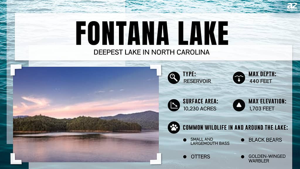 Infographic for Fontana Lake, North Carolina