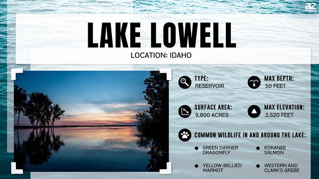 Lake Infographic for Lake Lowell, Idaho
