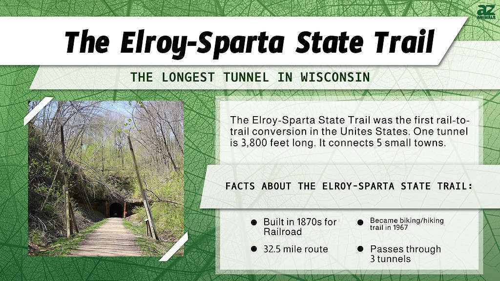 Longest Tunnel Infographic for the Elroy-Sparks State Trail in Wisconsin.