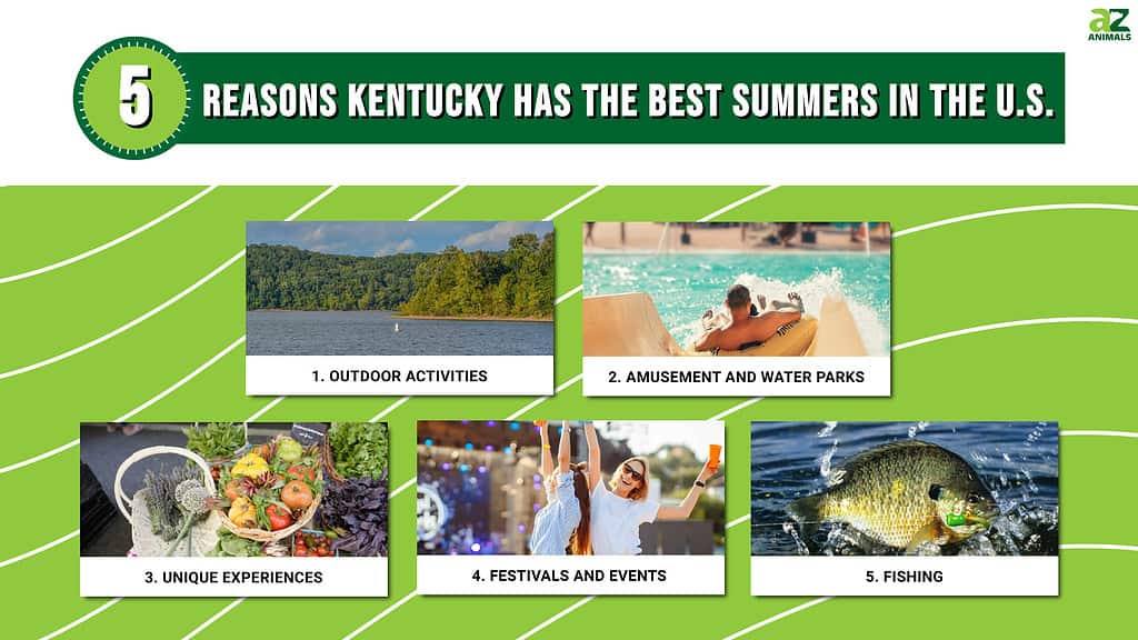 Infographic of 5 Reasons Kentucky Has the Best Summers in the U.S.