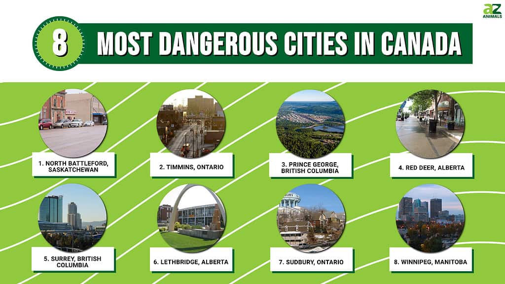 8 Most Dangerous Cities in Canada