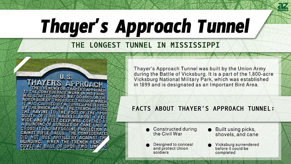 Infographic of Thayer’s Approach Tunnel