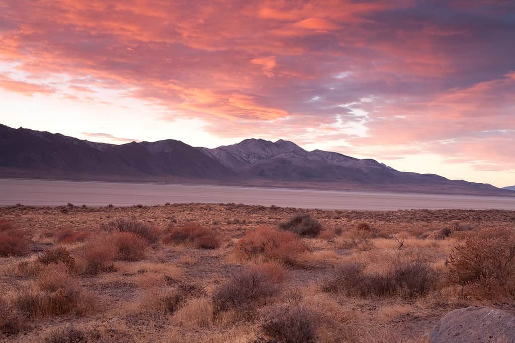 Image of the Black Rock Desert, Nevada. Shows grassy flatland with large mountains in the background.