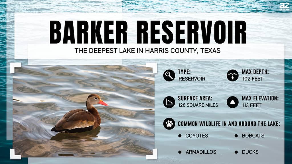 Barker Reservoir is the Deepest Lake in Harris County, Texas