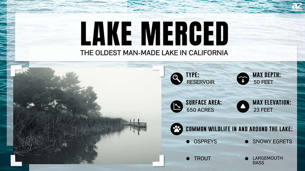 Lake Merced is the Oldest Man-Made Lake in California
